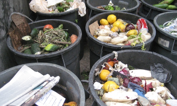 47 mln ton jedzenia ląduje w śmietnikach