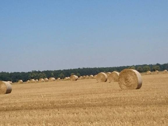 Wędrówka z misyjną trzynastką