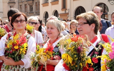 Krwawnik, mięta i dziewanna