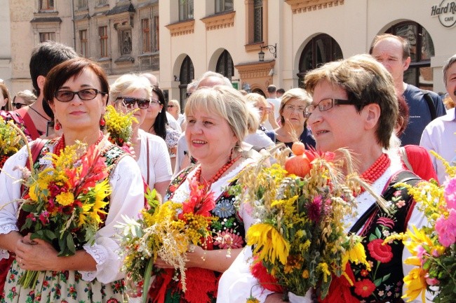 Krwawnik, mięta i dziewanna