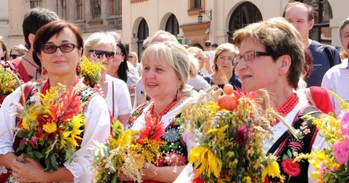 Krwawnik, mięta i dziewanna