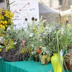 Cudowna moc bukietów A.D. 2015