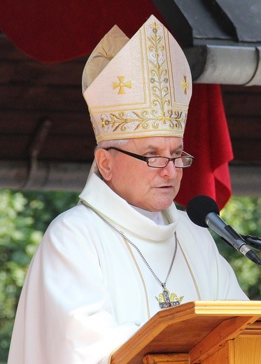 Dożynki w Rokitnie
