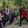 Seniorzy bardzo chętnie korzystają z treningów nordic walking