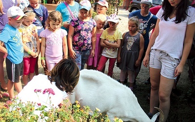  Podczas wizyty w gospodarstwie agroturystycznym dzieci mogły m.in. wydoić kozę i uczestniczyć w warsztatach robienia sera