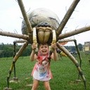 Park Owadów w Stobiernej 