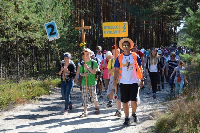 Wolontariusze ŚDM na pielgrzymce