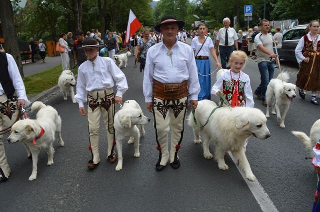 Na ulicach Zakopanego