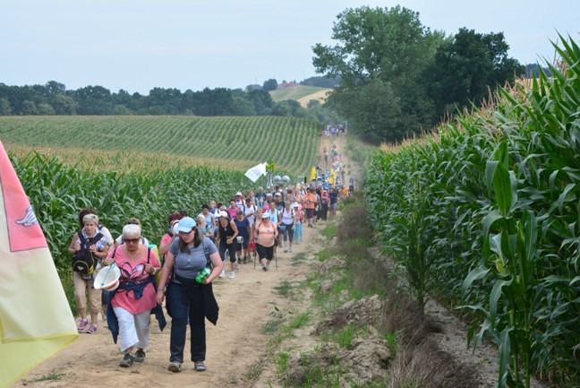 Z siódemką na szlaku do Matki