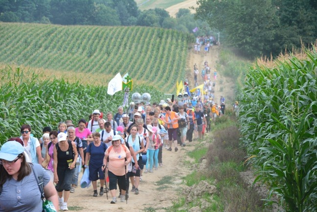 Z siódemką na szlaku do Matki