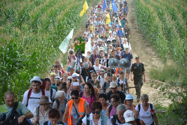 Z siódemką na szlaku do Matki