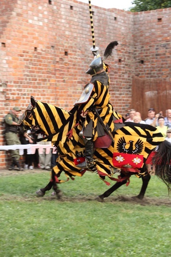 XVII Międzynarodowy Turniej Rycerski