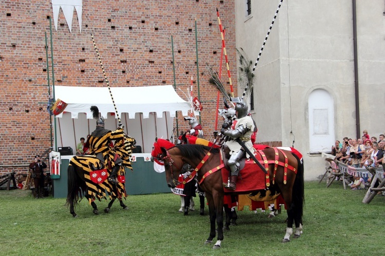 XVII Międzynarodowy Turniej Rycerski