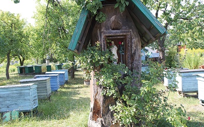  Skansen Pszczelarski w Pszczewie 