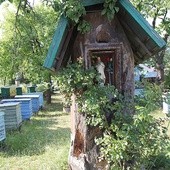  Skansen Pszczelarski w Pszczewie 