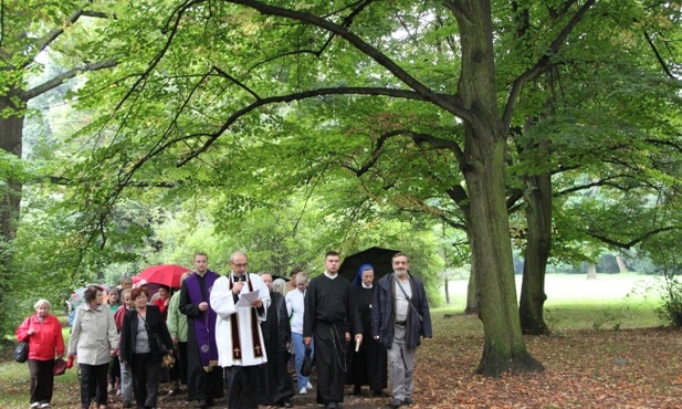 Dołącz do weselnych gości