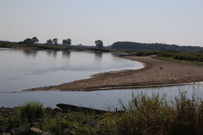 Odra - alrmująco niski poziom wody