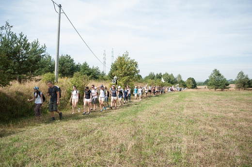 Pielgrzymka młodych w drodze