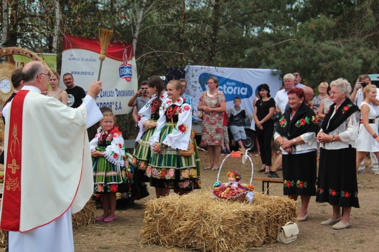 Dożynki wojewódzkie w Maurzycach