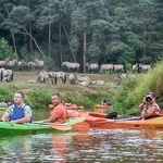 Siatkarskie kajaki w Miliczu