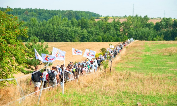 Nadzieja sponiewieranych