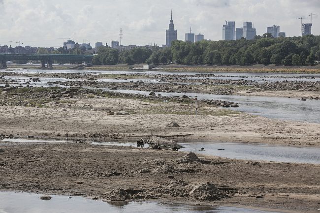 "Przedpotopowe" znaleziska na dnie Wisły