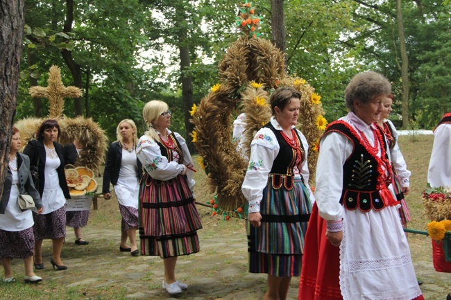 Chleb w roli głównej