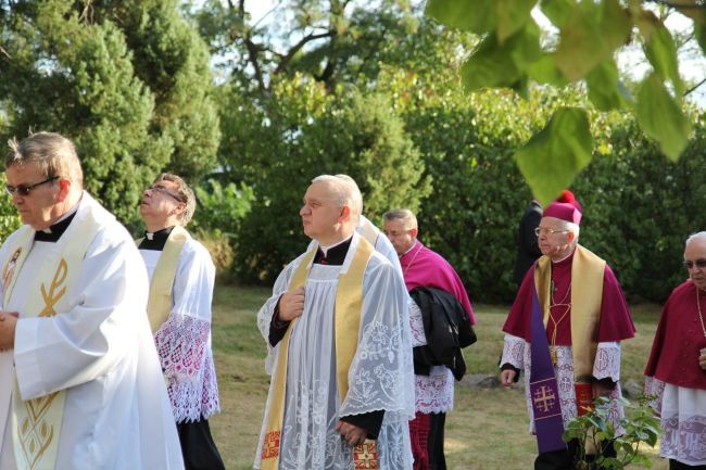 Reregrynacja w Siedlisku