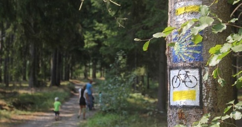 Przez Saksonię po... polsku