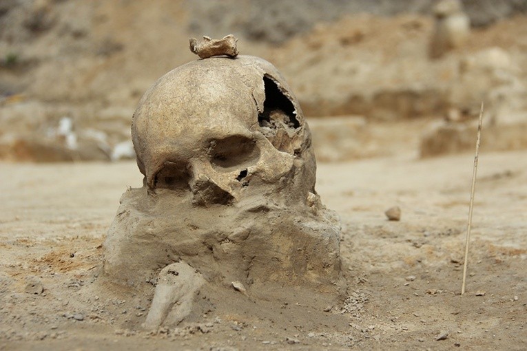 W 2010 r. na terenie Reduty Ordona archeolodzy znaleźli szczątki polskich i rosyjskich żołnierzy powstania listopadowego