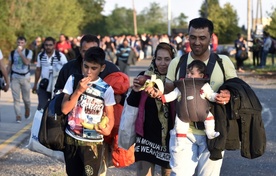 12 tys. imigrantów to 0,03 proc. ludności Polski