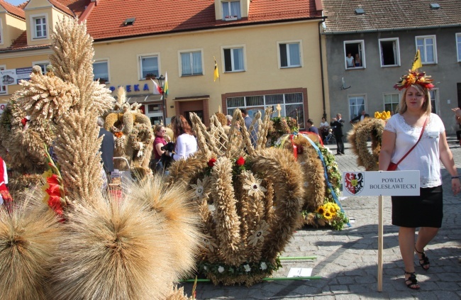 Dożynki wojewódzkie w Miliczu