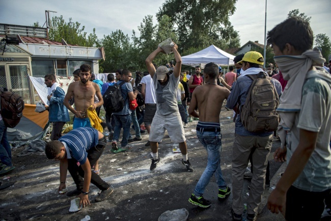 Starcia z imigrantami na granicy serbsko-węgierskiej