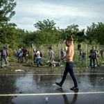 Starcia z imigrantami na granicy serbsko-węgierskiej