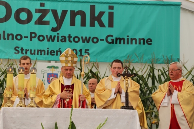 Dożynki diecezjalne w Strumieniu - cz.2