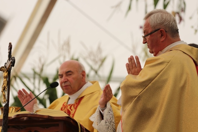 Dożynki diecezjalne w Strumieniu - cz.2