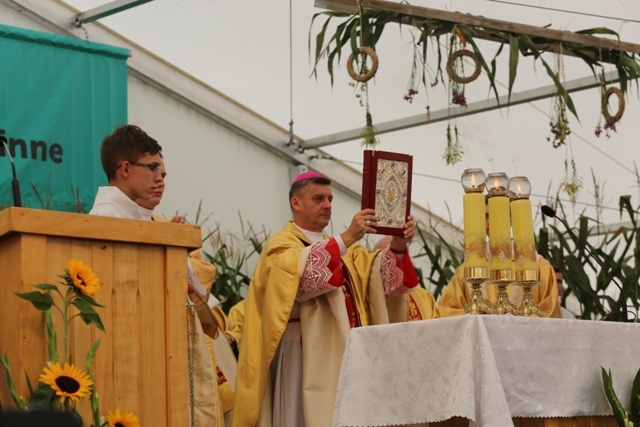 Dożynki diecezjalne w Strumieniu - cz.2