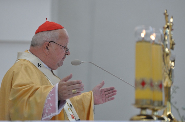 Diecezjalne dziękczynienie w Łagiewnikach