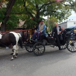 Dożynki diecezjalne w Rudach