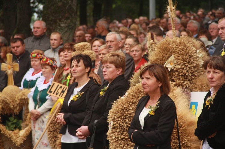 Dożynki diecezjalne' 2015