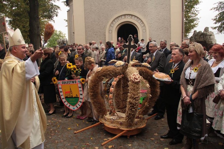 Dożynki diecezjalne' 2015