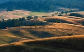 Serbia to piękny, fascynujący kraj z tragiczną historią. Jako niezależne państwo Republika Serbii powstała 5 czerwca 2006 r. 