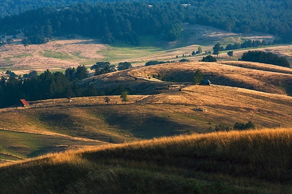 Serbia to piękny, fascynujący kraj z tragiczną historią. Jako niezależne państwo Republika Serbii powstała 5 czerwca 2006 r. 