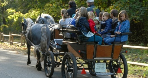 Świętuj razem ze św. Franciszkiem