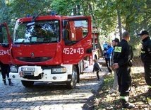 Strażacy w miniaturze