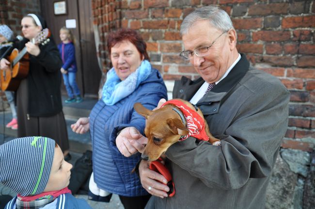Błogosławieństwo zwierząt w Darłowie