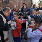 Błogosławieństwo zwierząt w Darłowie