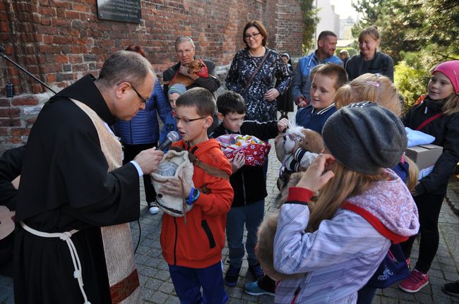 Błogosławieństwo zwierząt w Darłowie