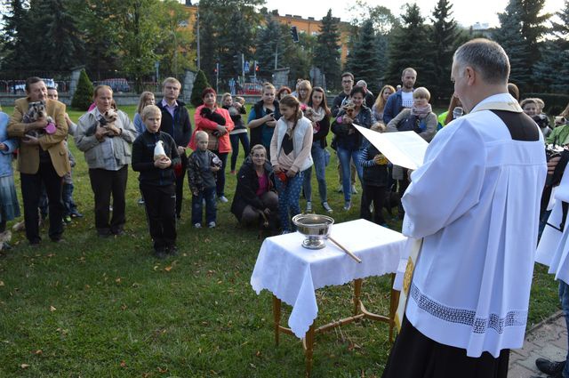 Nabożeństwo z udziałem czworonogów