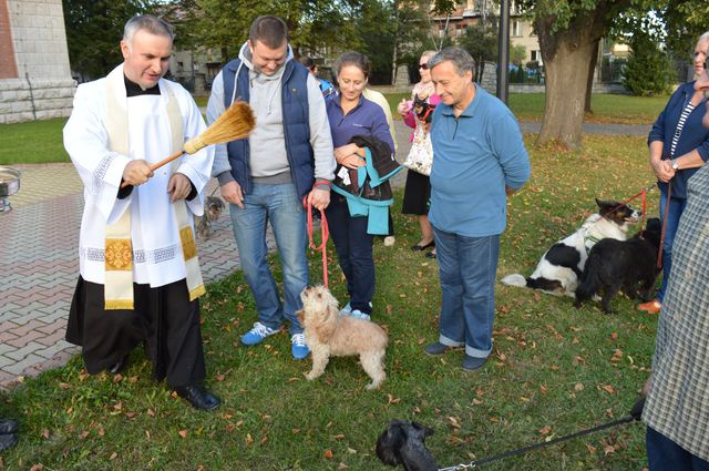 Nabożeństwo z udziałem czworonogów